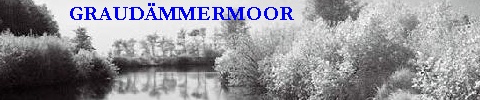 Banner_Graudämmermoor